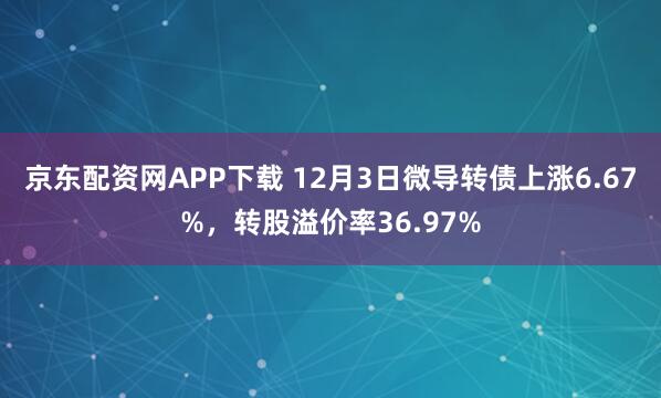 京东配资网APP下载 12月3日微导转债上涨6.67%,转股溢价率36.97%