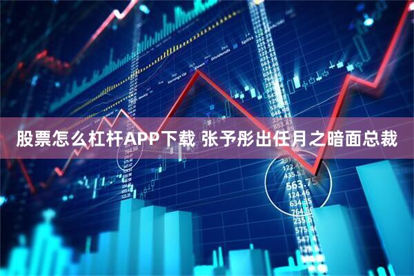 股票怎么杠杆APP下载 张予彤出任月之暗面总裁