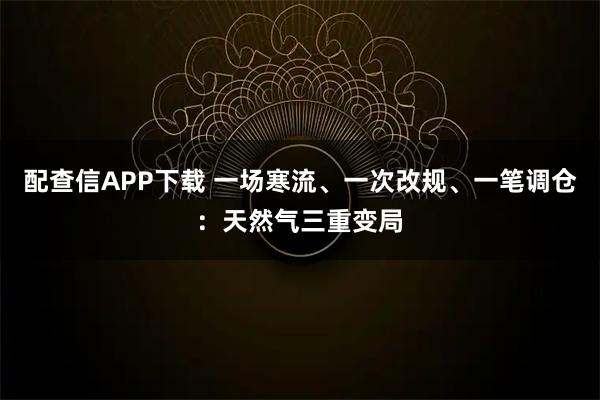 配查信APP下载 一场寒流、一次改规、一笔调仓：天然气三重变局