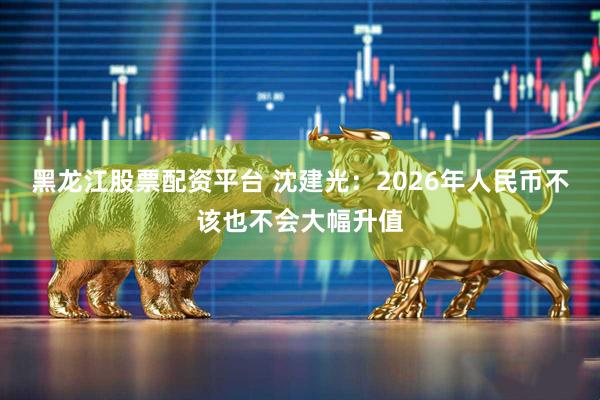 黑龙江股票配资平台 沈建光：2026年人民币不该也不会大幅升值